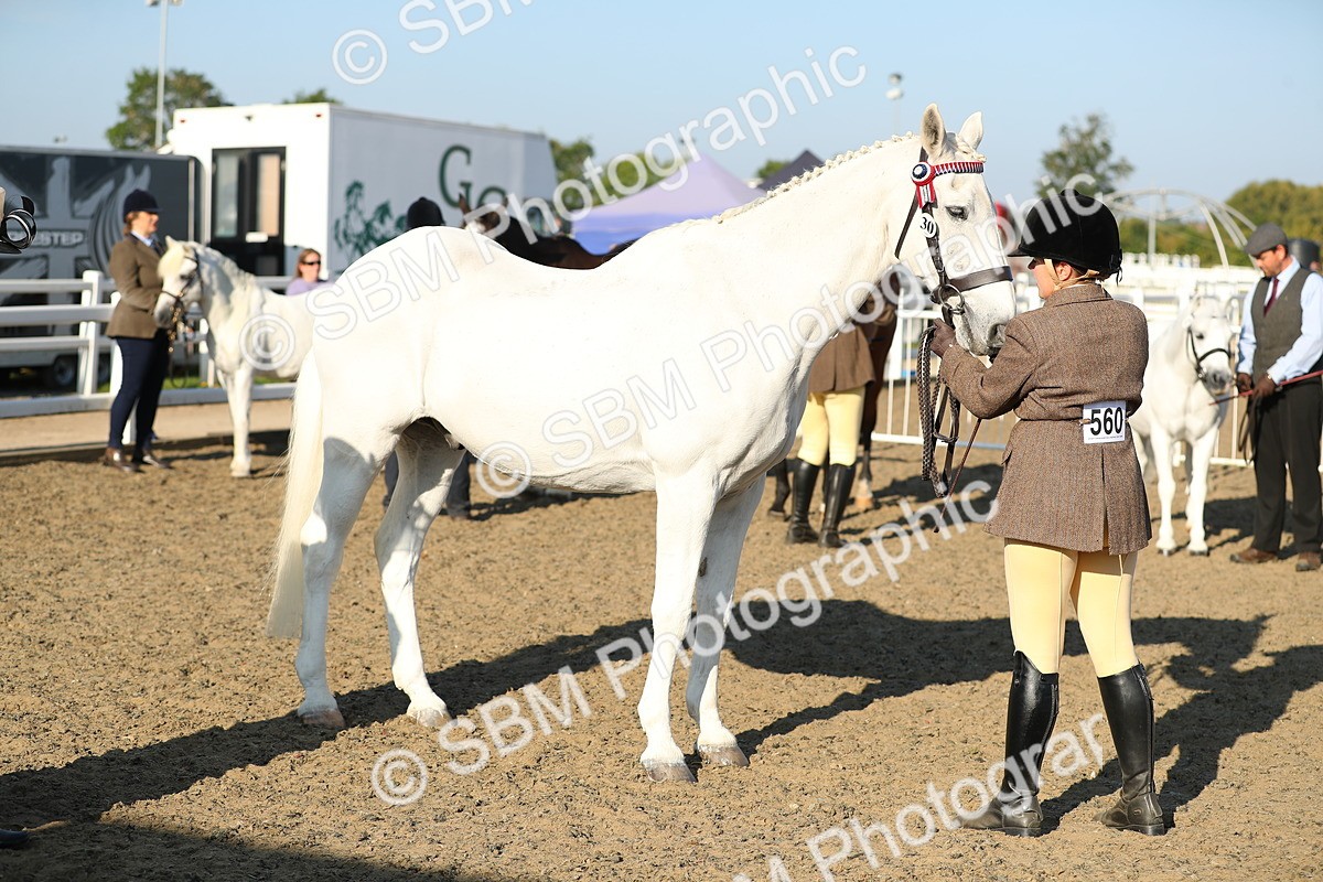 SBM_00045 - Class 40 Best Turned Out IH