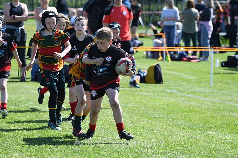  - Selby Rugby Festival 2025