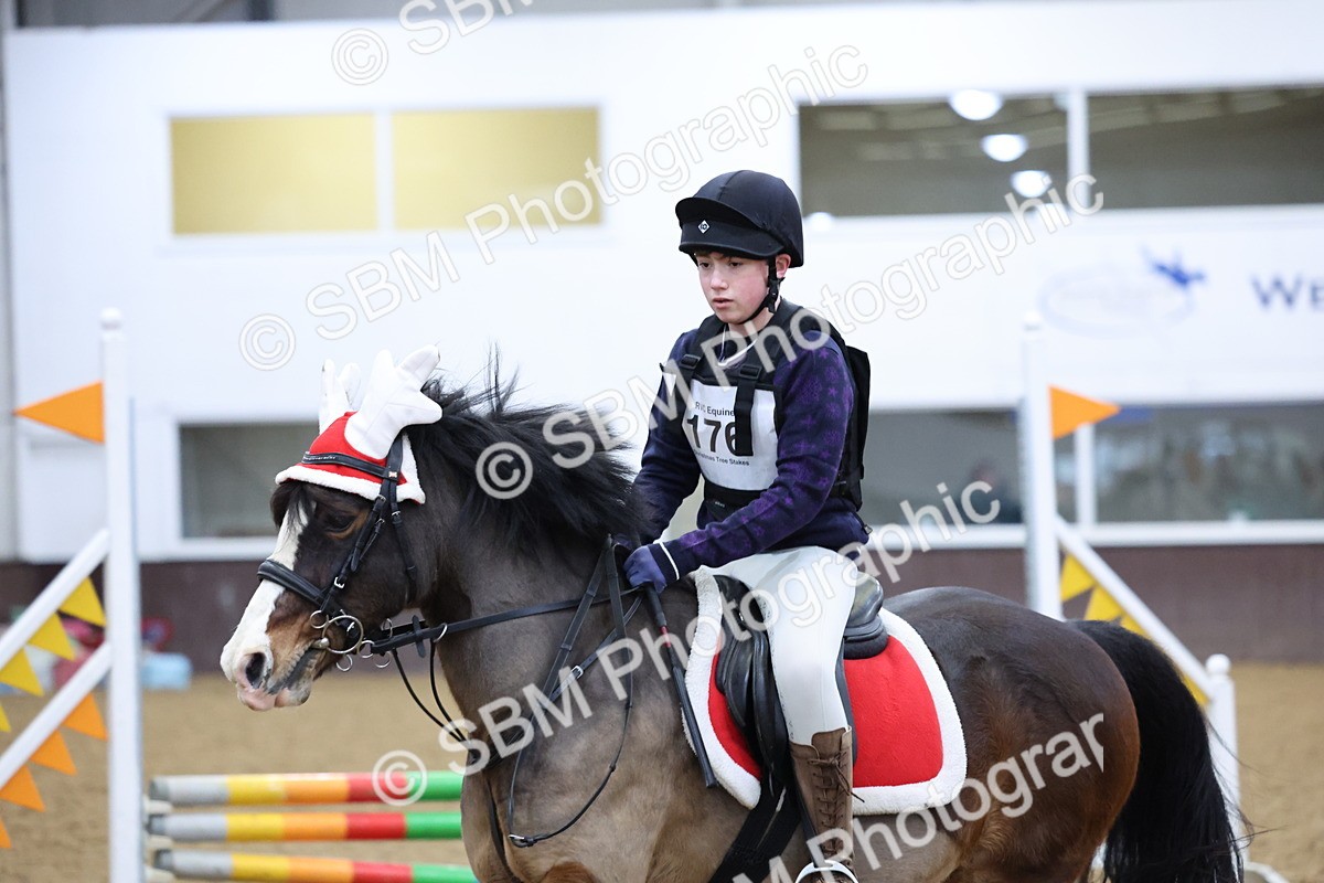 SBM_001108 - Class 3 - Christmas Tree Stakes - 60cm