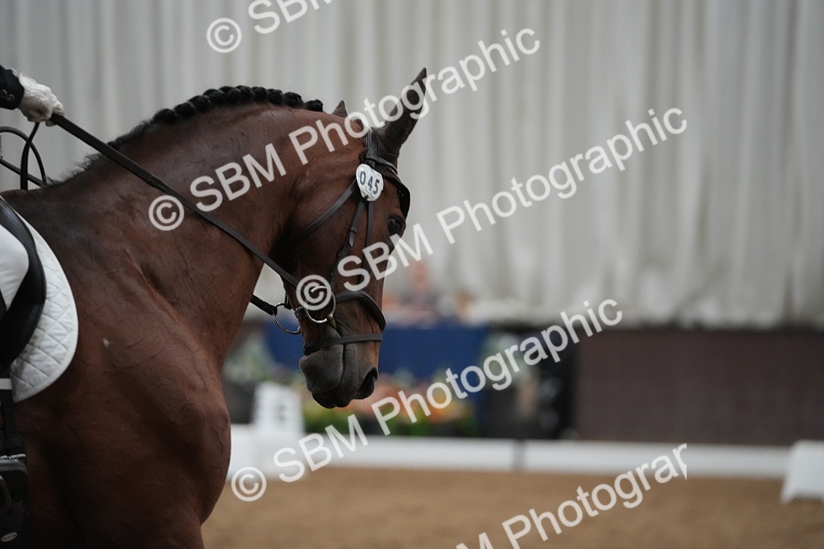 SBM_004545 - Class 11 - Elementary 2 Champs