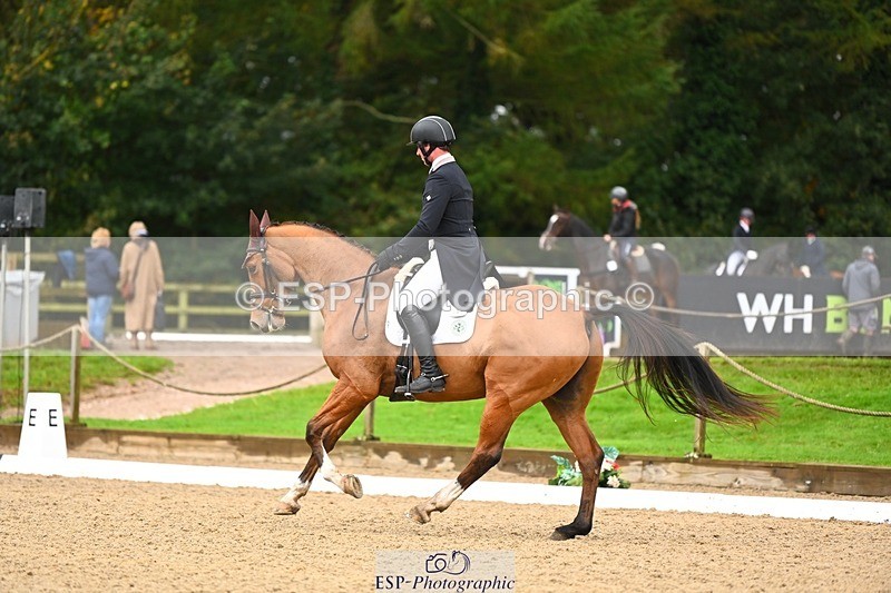 231021-120442-15053 - 345-THE.PREACHER.MAN-David.Doel-DR