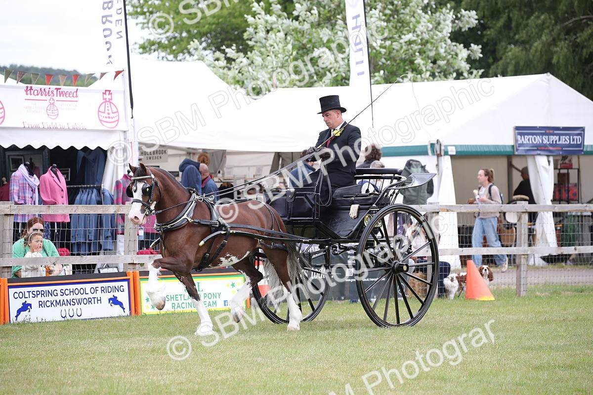 SBM_05853 - Class 12-15 - HOYS Private Driving