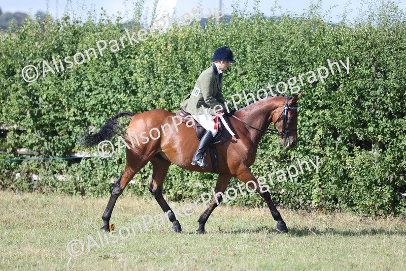 20250831-0951 - Class 14 - Ex Racehorse
