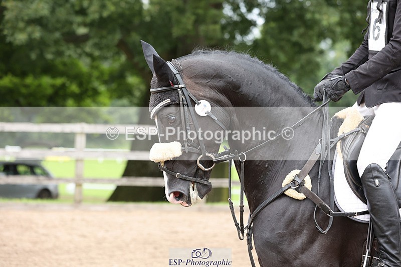 240804-142050-15817 - 616-Max_Forster-HEVANS_ROYAL_REVOLUTION