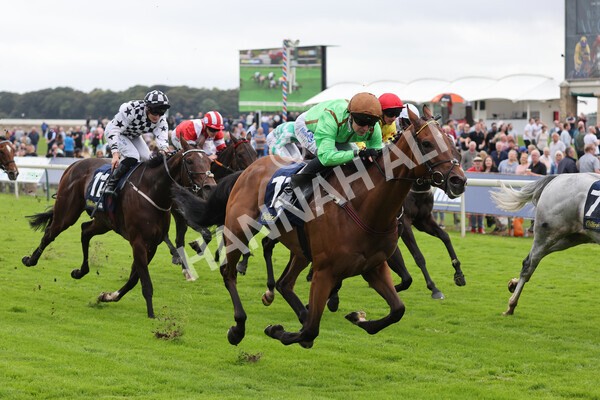 yr24092021r3-27 - Race 3 2.40pm WilliamHill.com Best Odds Guaranteed Stakes