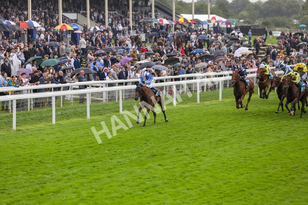 130724-Race 3-Enfjaar-2016 - Race 3 3.10pm John Smith's Cup Handicap