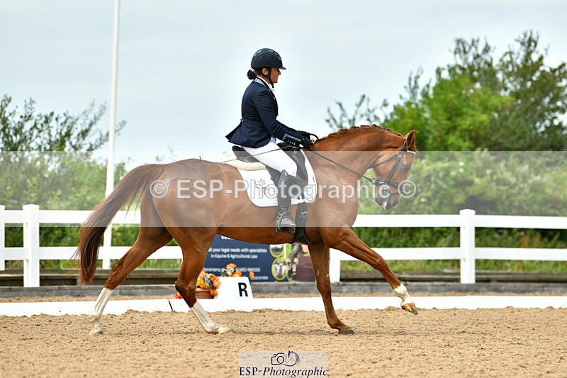 230702A-133435-10043 - Cls 31 Medium 69