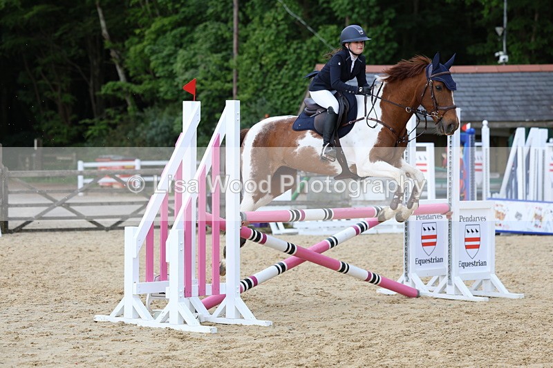 3E7A8541 - Class 14: Pony Newcomers/1m open