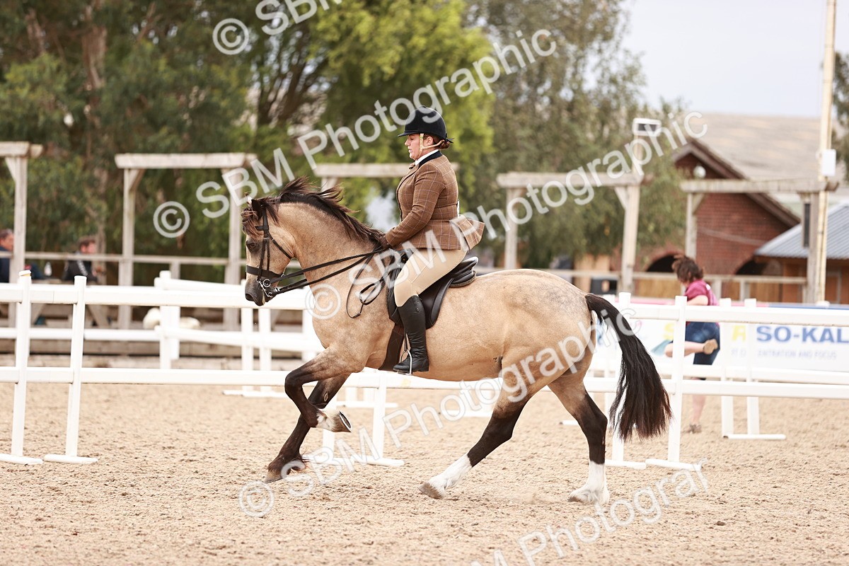 SBM_18992 - Class 422 - Ridden M&M