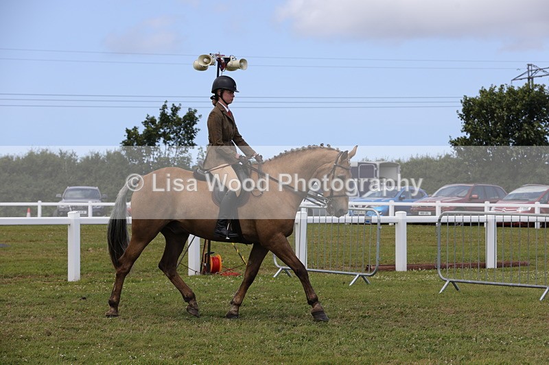 1X9A4320 - Class 34: Veteran Ridden