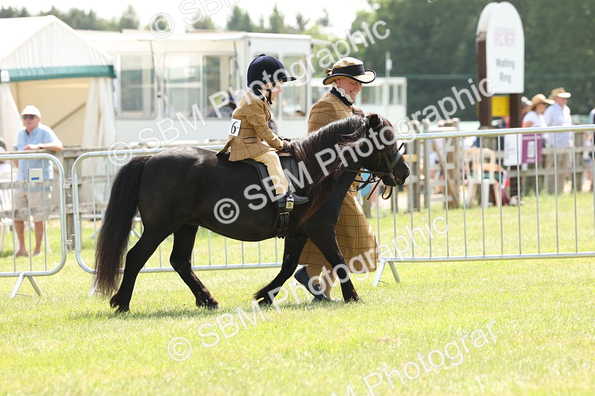 SBM_05175 - Class 24-25 - Mountain & Moorland In Hand Lead Rein and First Ridden