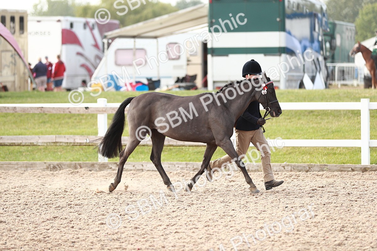 SBM_10502 - Class 204 Young Handler, 11-16 years