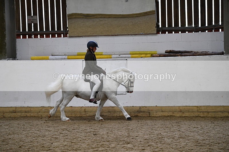 WJ5_6283 - Class 9 Ridden Veteran