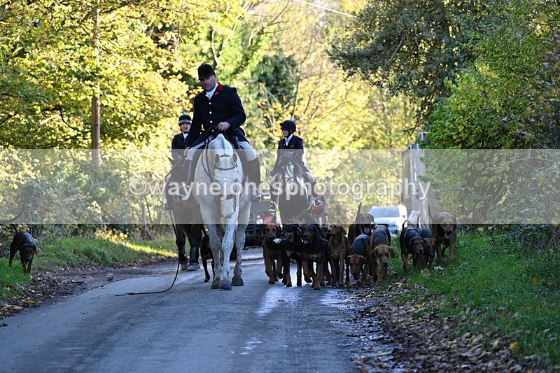 WJ7_8636 - Walk Home