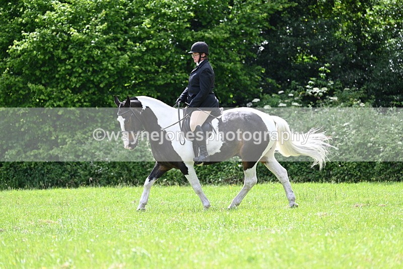 WJ7_2629 - Class 12A Coloured Class