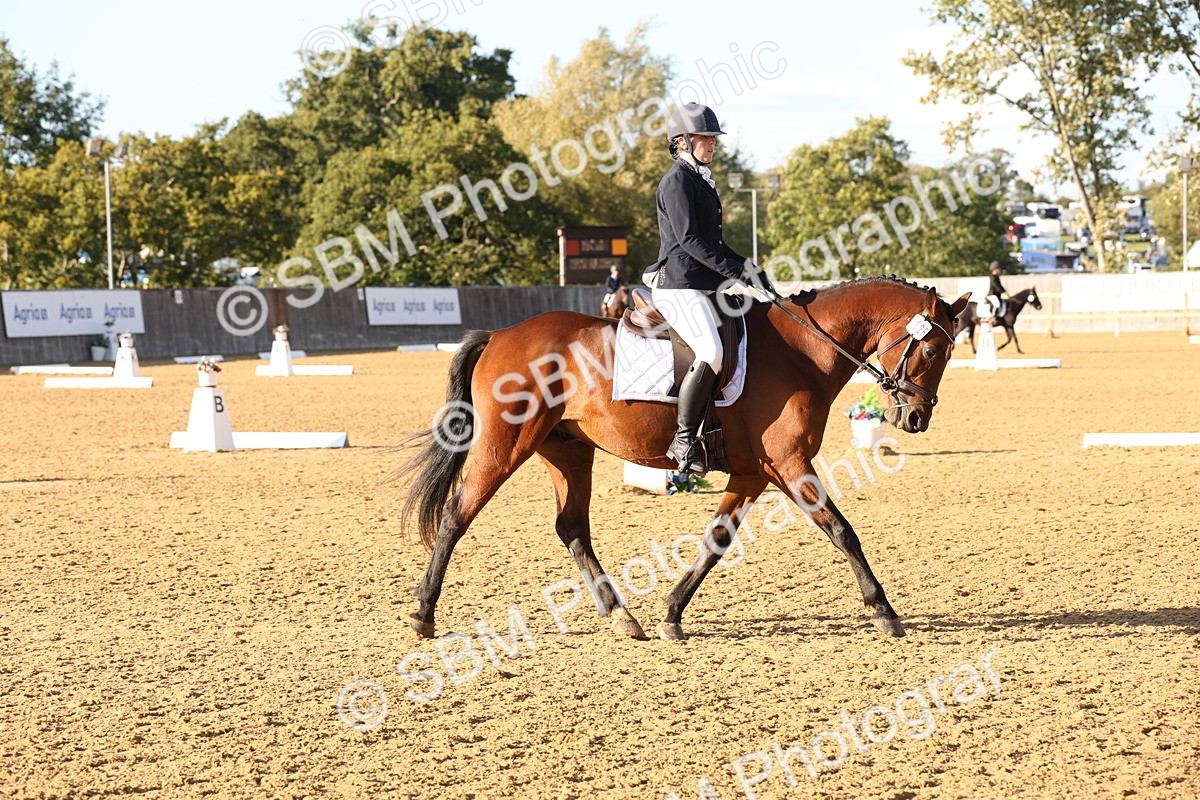 SBM_52744 - D12 - Small Tour Championship prelim 2