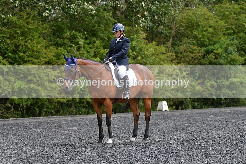 WJ5_1647 - Time 14:20 to 15:01