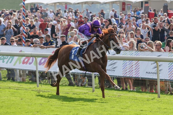 yr05092021r3-12 - Race 3 3.15pm The BioWaveGo Garrowby Stakes