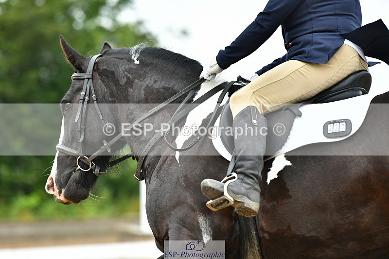 230708A-105323-02444 - Prelim 13