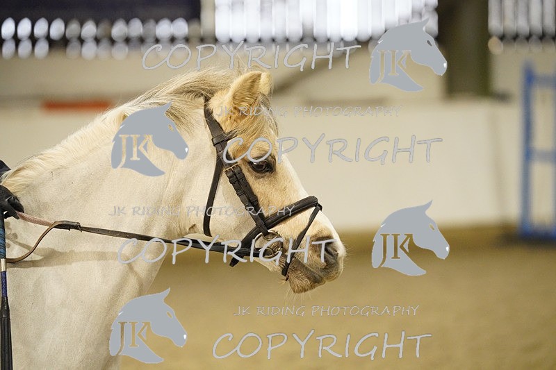 _DSC2665 - Class 2 40cm