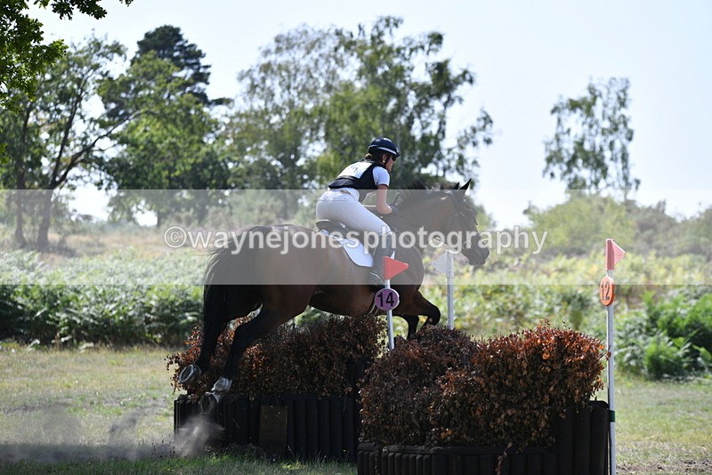 WJ5_3466 - XC Time 13:30 to 14:00