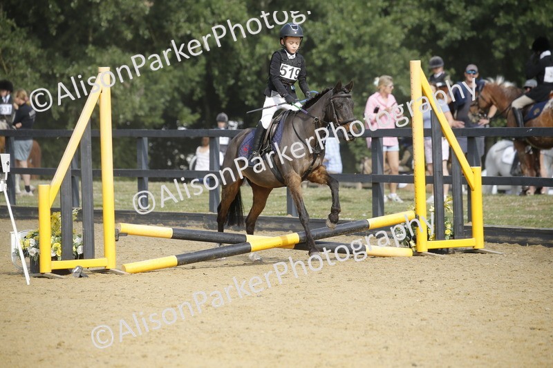 20250622-1379 - 40cm