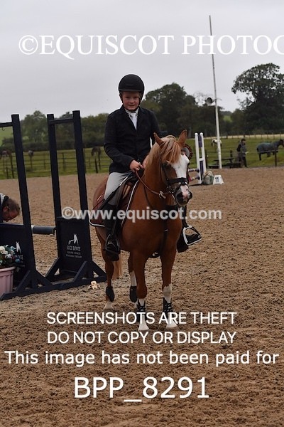 BPP_8291 - CLASS 1 Club/ Unaffiliated 60cms Open