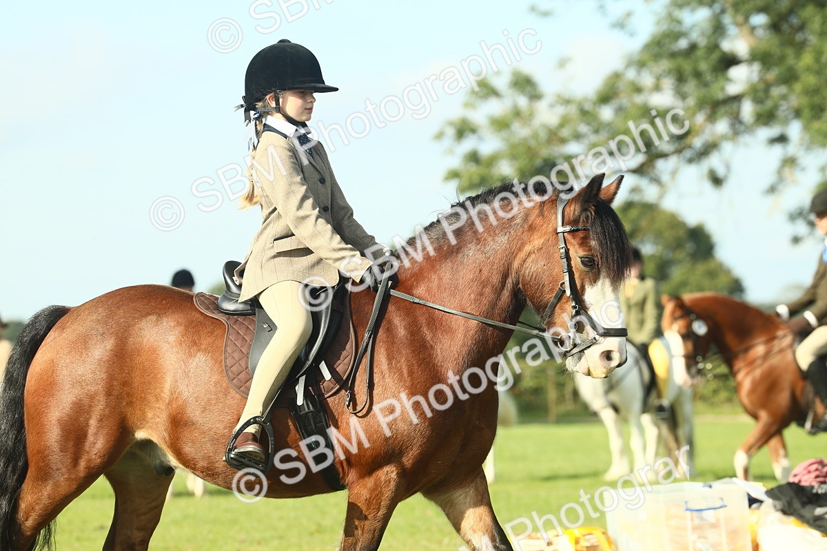 SBM_59919 - S38 - Starters Ridden Showing