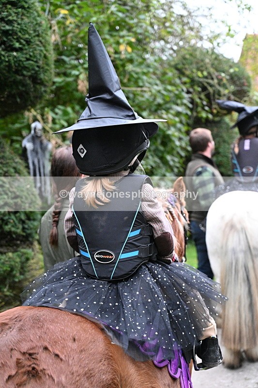 WJ7_6663 - Berks & Bucks - Children's Meet - The Old Farmhouse – Steventon.