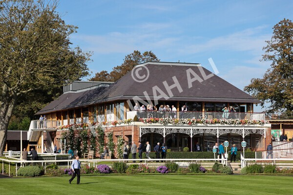 yr08102021r1-11 - Race 1 2.05pm Parsonage Hotel and Cloisters Spa Nursery Handicap