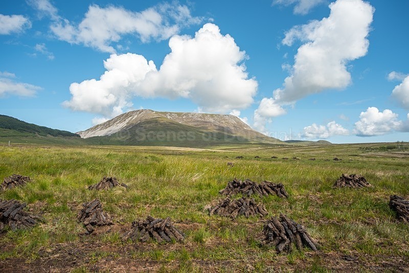DSC_2551 - Muckish