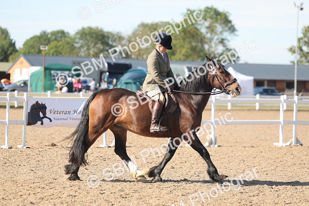 SBM_12321 - Class 304 - Ridden part Bred Horse Pony