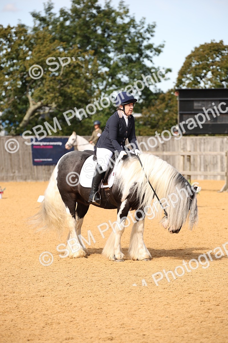 SBM_21775 - D5 - Small Tour Championship - Intro C