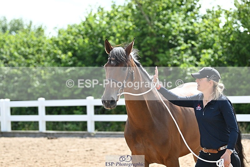 240717A-154529-03042 - Trot Up 3pm to 4pm