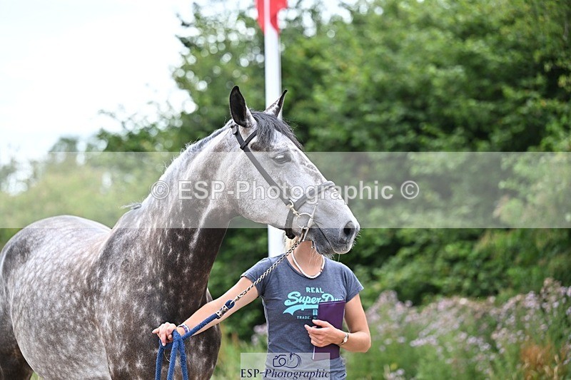 250716-135727-00717 - Trot Up 1.30 to 2.30