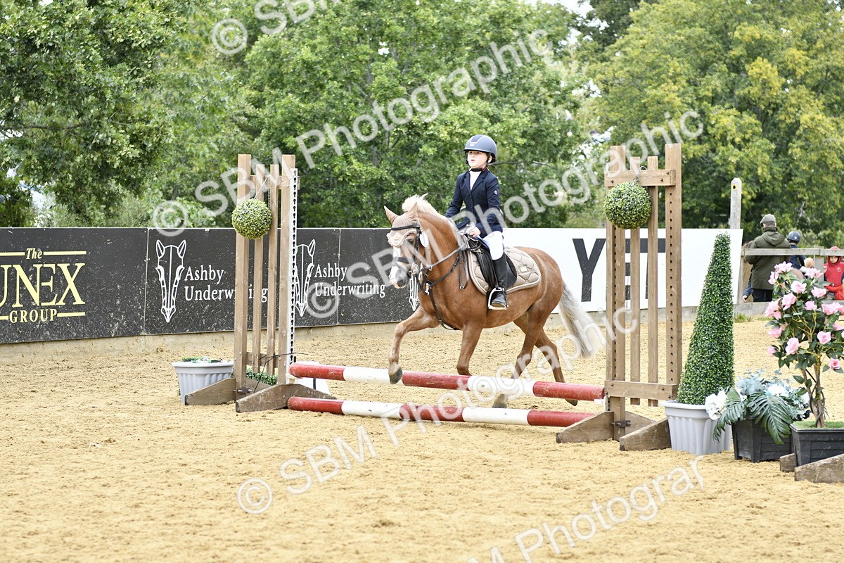 SBM_65469 - J2a mini Tour Junior Pony 30cm Championship