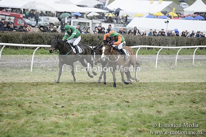 PtP 020418 -244 - Old Berks Point-to-Point Races Easter Monday 02/04/18