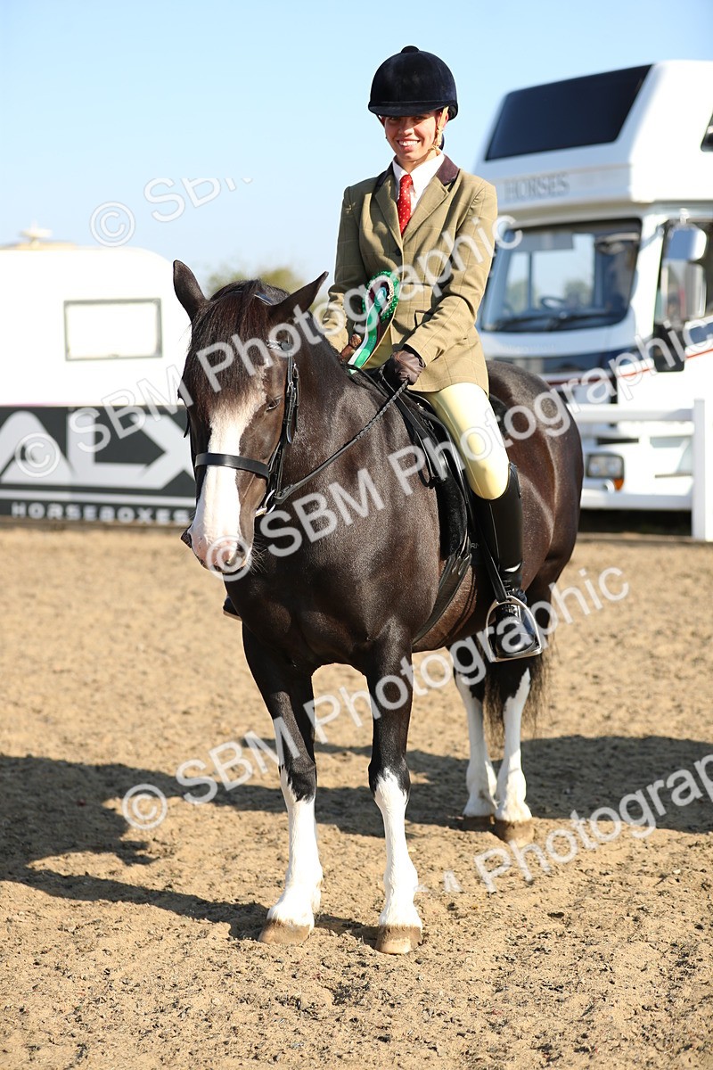 SBM_00479 - Class 41 Best Turned Out Ridden