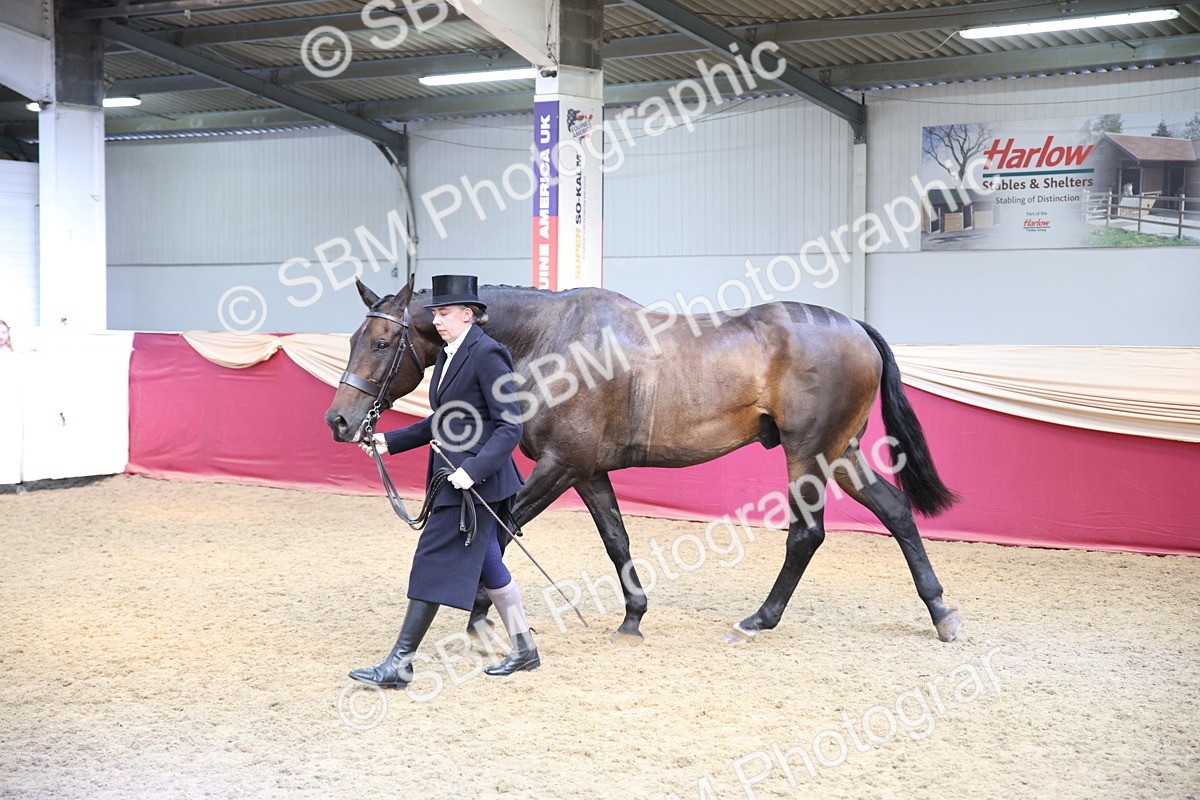 SBM_24761 - Class 906 - Supreme Final - Ridden Pre Vet