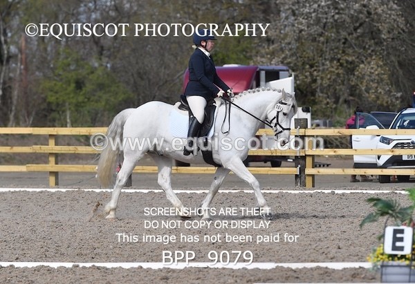 BPP_9079 - ELEM 1/2