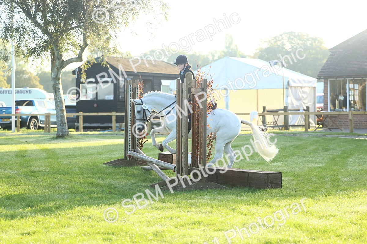 SBM_31711 - S28 - Nursery Stakes Working Hunter Pony