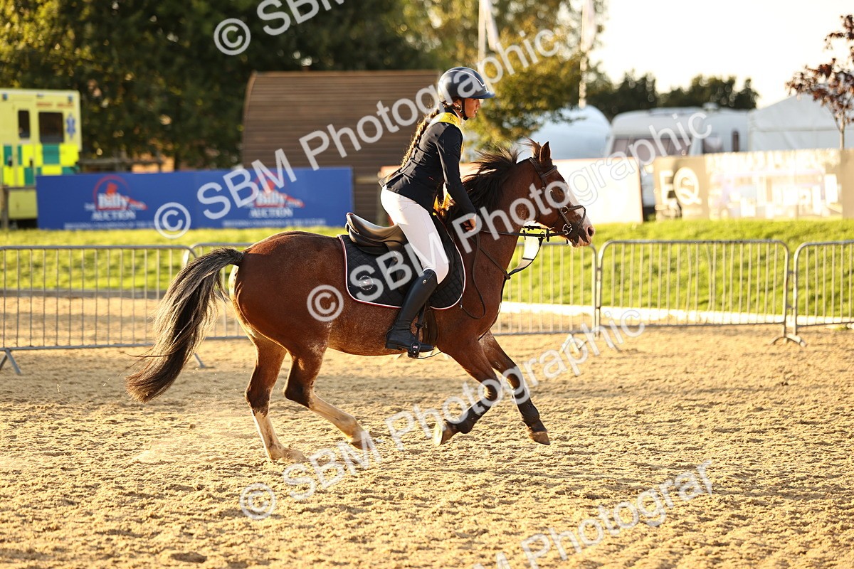 SBM_56146 - J10 - Junior Pony 75cm Championship