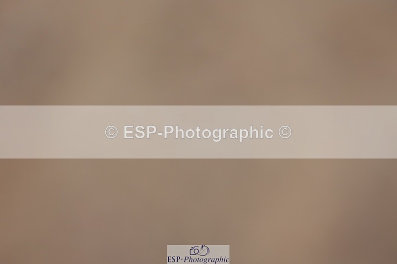 250621-122340-08982 - Cls 37 - Freestyle Adv Medium