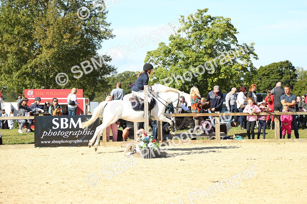 SBM_39288 - J6 - Junior Pony 55cm Championships