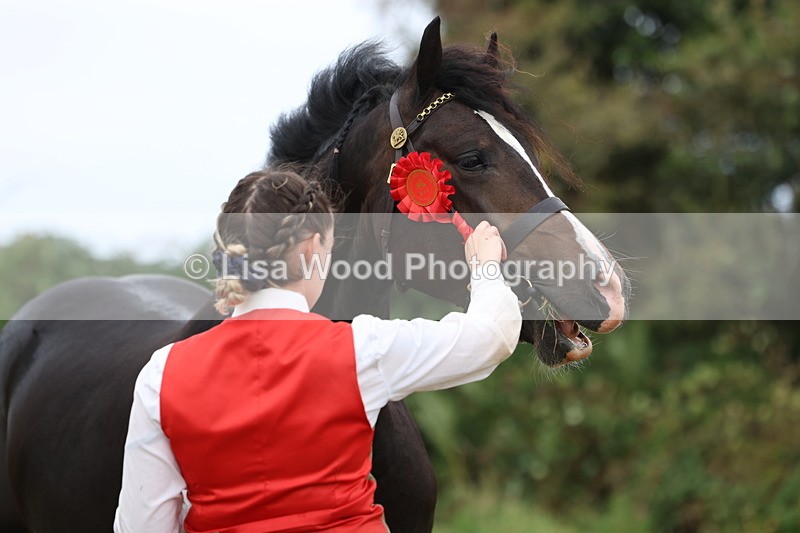 3E7A4253 - Class 15: Two Year Olds