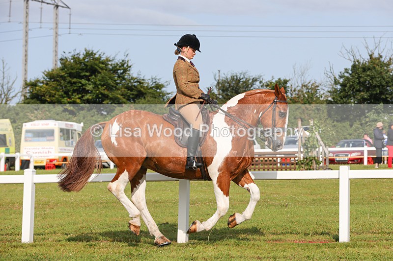 1X9A3121 - Class 27:  Ridden Native/Trad Coloured Horse
