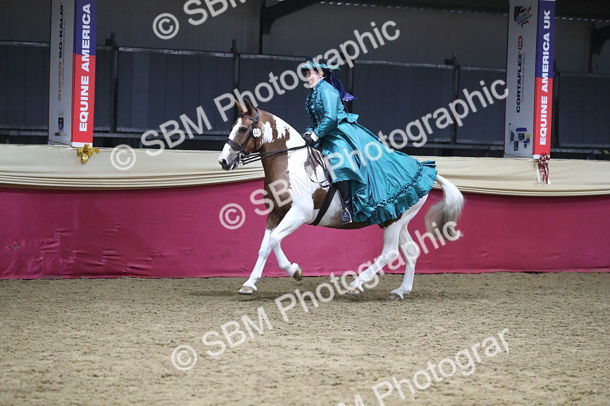 SBM_12032 - Class 106 Ridden Costume- Astride Adult (15-19)