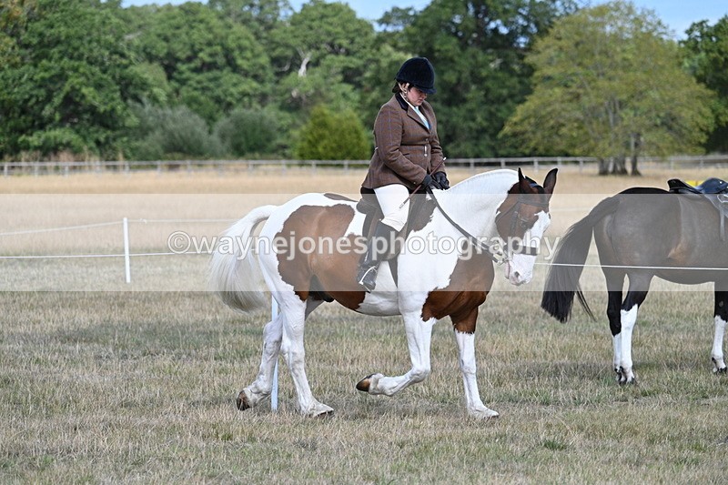 WJ7_6719 - Class 14 Ridden Coloured