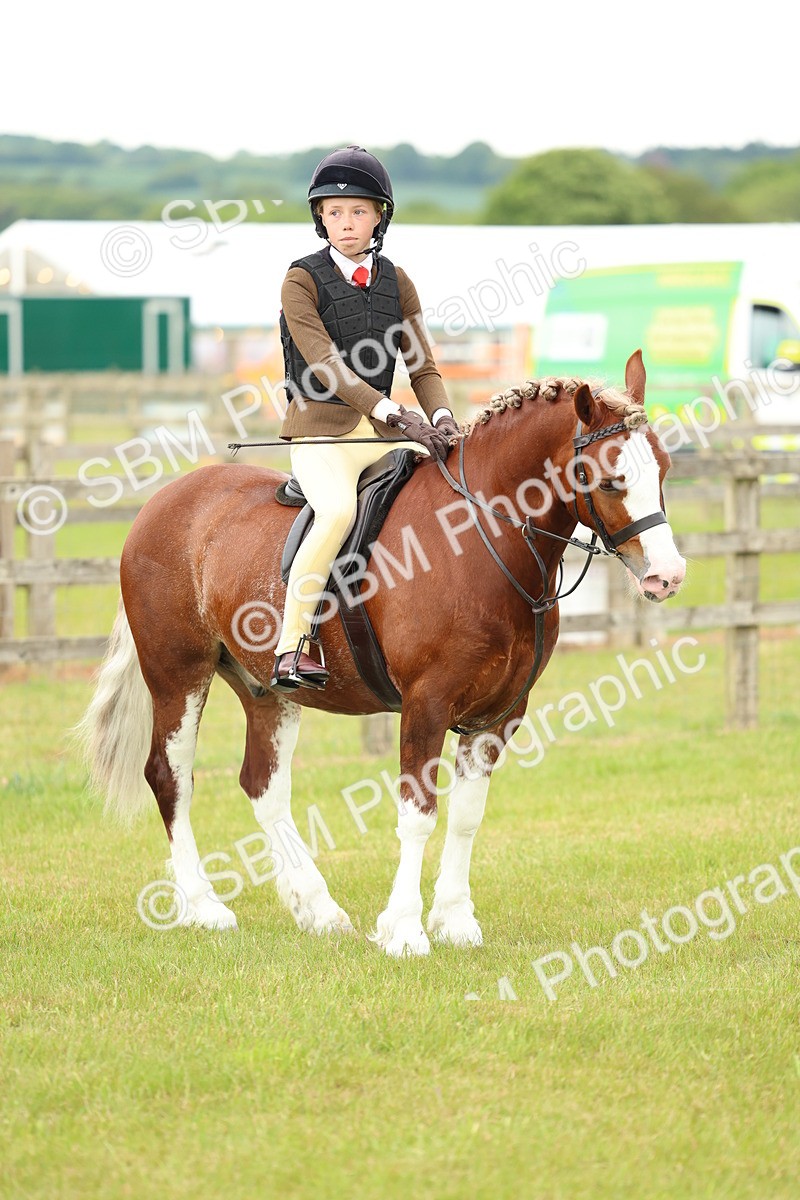 SBM_10379 - Class 44-45 - LIHS BSPS Open Nursery and Cradle Stakes