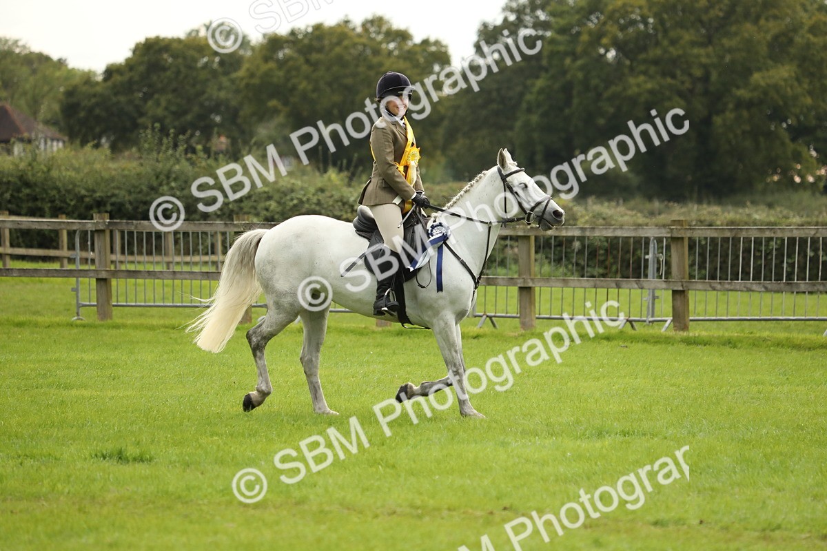 SBM_75435 - Equitation Supreme Championship